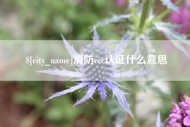 邹城消防ccc认证什么意思