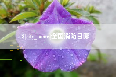 邹城全国消防日哪一