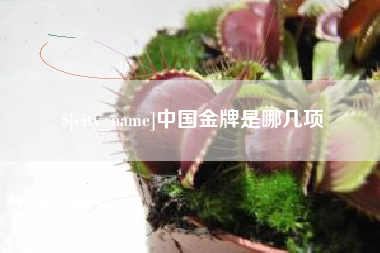 邹城中国金牌是哪几项