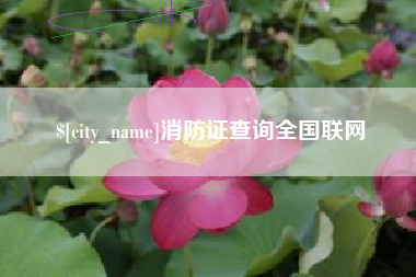 邹城消防证查询全国联网