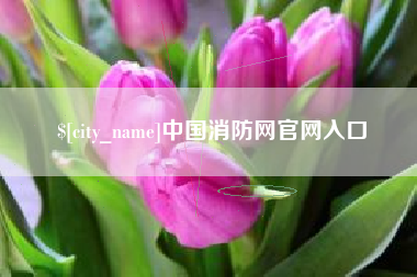 邹城中国消防网官网入口