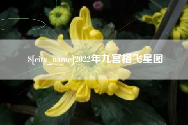 邹城2022年九宫格飞星图