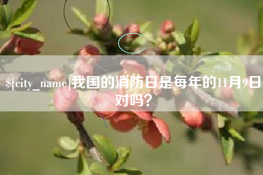 邹城我国的消防日是每年的11月9日对吗？
