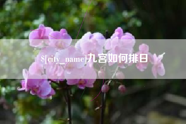 邹城九宫如何排日