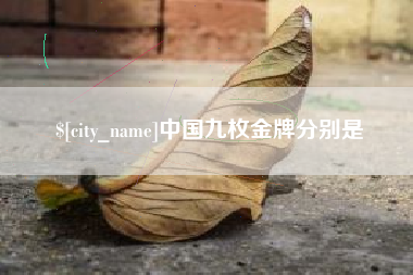 邹城中国九枚金牌分别是