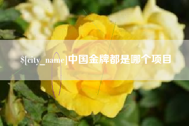 邹城中国金牌都是哪个项目