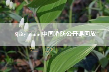 邹城中国消防公开课回放