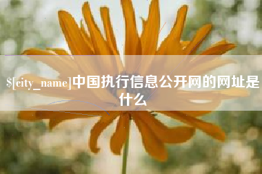 邹城中国执行信息公开网的网址是什么
