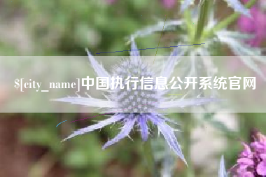 邹城中国执行信息公开系统官网