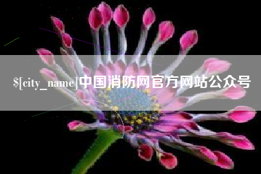 邹城中国消防网官方网站公众号