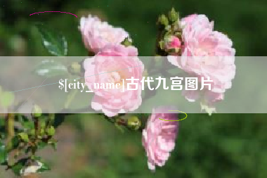 邹城古代九宫图片