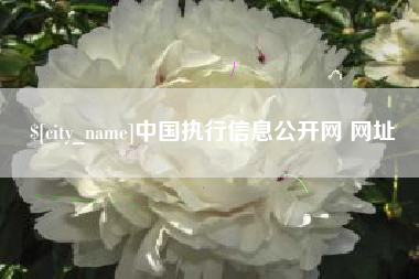 邹城中国执行信息公开网 网址