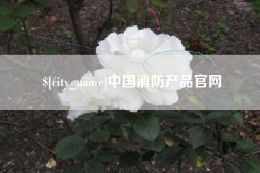 邹城中国消防产品官网