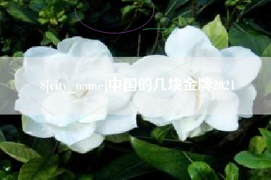 邹城中国的几块金牌2021