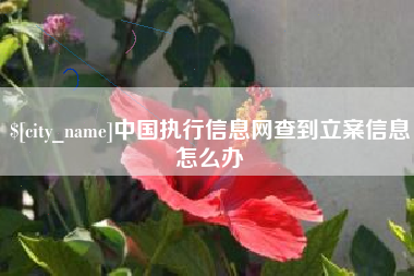 邹城中国执行信息网查到立案信息怎么办