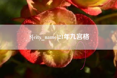 邹城21年九宫格