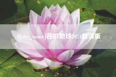 邹城谷歌地球2024超清版