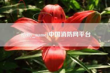 邹城中国消防网平台