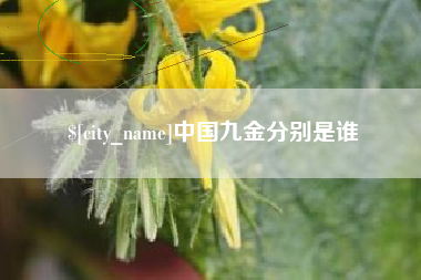 邹城中国九金分别是谁