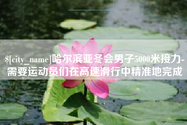 邹城哈尔滨亚冬会男子5000米接力-需要运动员们在高速滑行中精准地完成