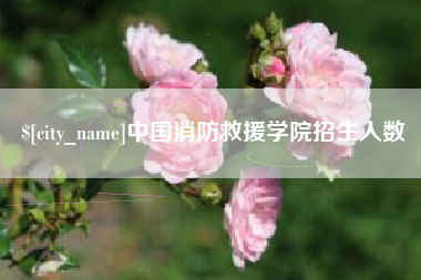 邹城中国消防救援学院招生人数