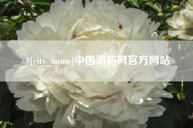 邹城中国消防网官方网站