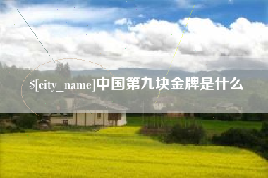 邹城中国第九块金牌是什么