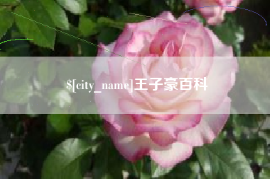 邹城王子豪百科