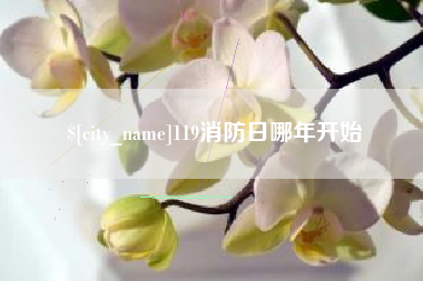 邹城119消防日哪年开始