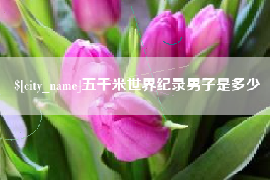 邹城五千米世界纪录男子是多少