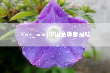 邹城中国金牌都是啥