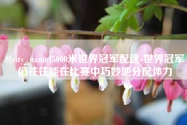 邹城5000米世界冠军配速-世界冠军们往往能在比赛中巧妙地分配体力