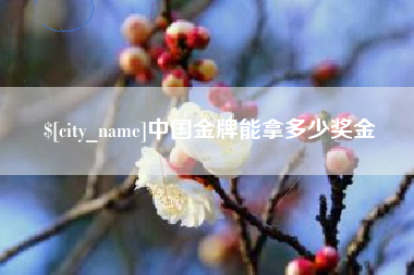 邹城中国金牌能拿多少奖金