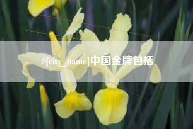 邹城中国金牌包括