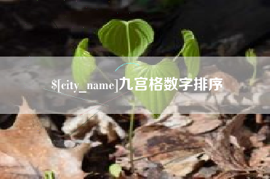 邹城九宫格数字排序