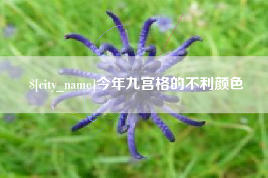 邹城今年九宫格的不利颜色