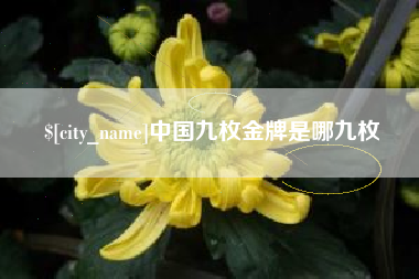 邹城中国九枚金牌是哪九枚