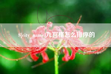 邹城九宫格怎么排序的