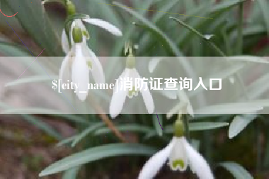 邹城消防证查询入口