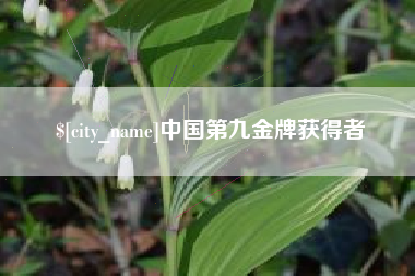 邹城中国第九金牌获得者