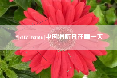 邹城中国消防日在哪一天