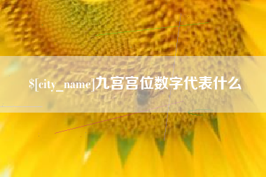 邹城九宫宫位数字代表什么