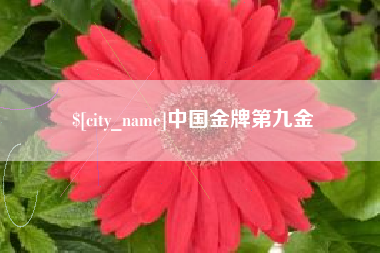 邹城中国金牌第九金