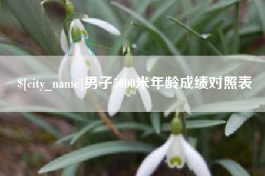 邹城男子5000米年龄成绩对照表
