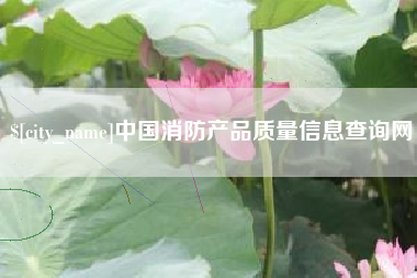 邹城中国消防产品质量信息查询网