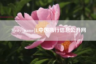 邹城1.中国执行信息公开网
