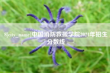 邹城中国消防救援学院2024年招生分数线