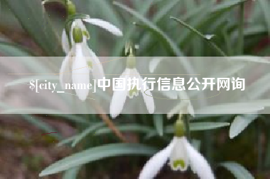 邹城中国执行信息公开网询