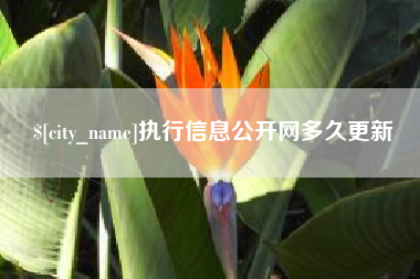 邹城执行信息公开网多久更新