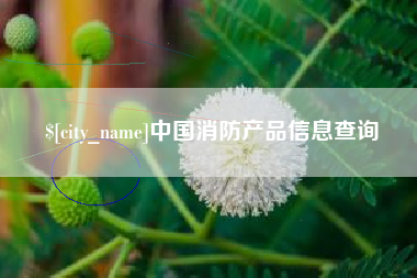 邹城中国消防产品信息查询